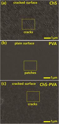 Moderately Transparent Chitosan-PVA Blended Membrane for Strong Mechanical Stiffness and as a Robust Bio-Material Energy Harvester Through Contact-Separation Mode TENG